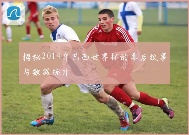 揭秘2014年巴西世界杯的幕后故事与数据统计