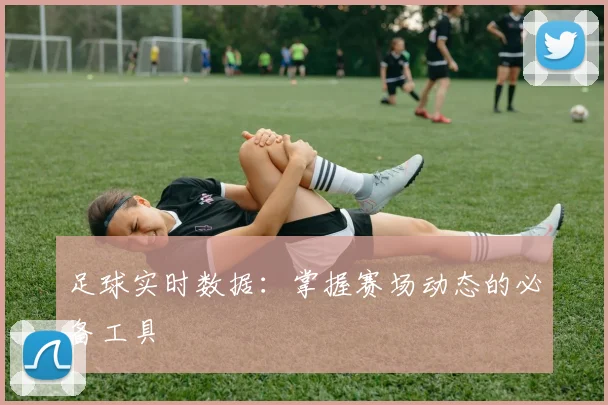 足球实时数据：掌握赛场动态的必备工具